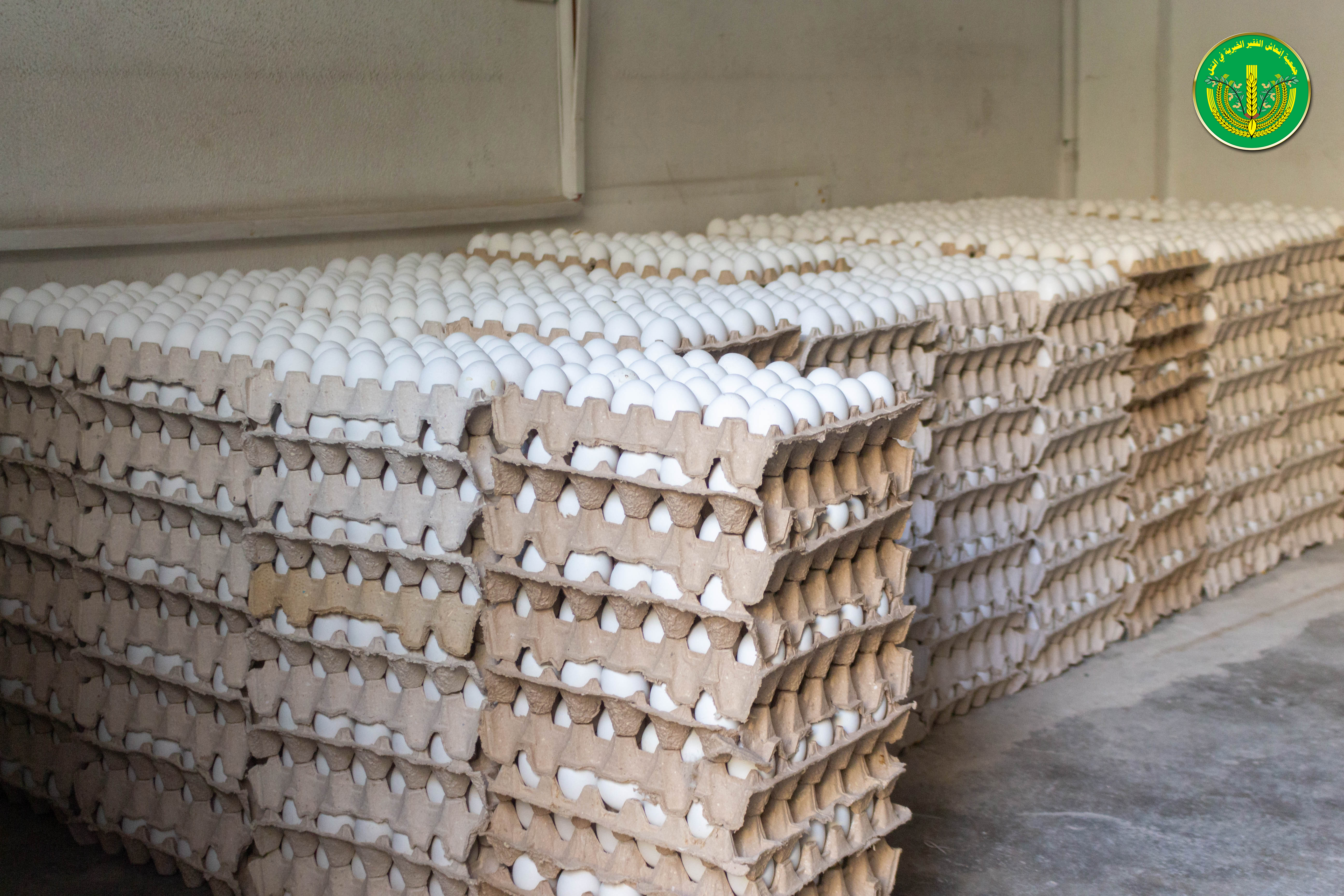 المساعدات الشهرية للمدرجين الأيتام والأرامل والمطلقات من أهالي مدينة التل